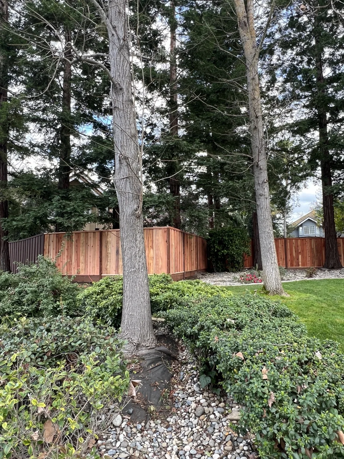 Completed redwood fence installation